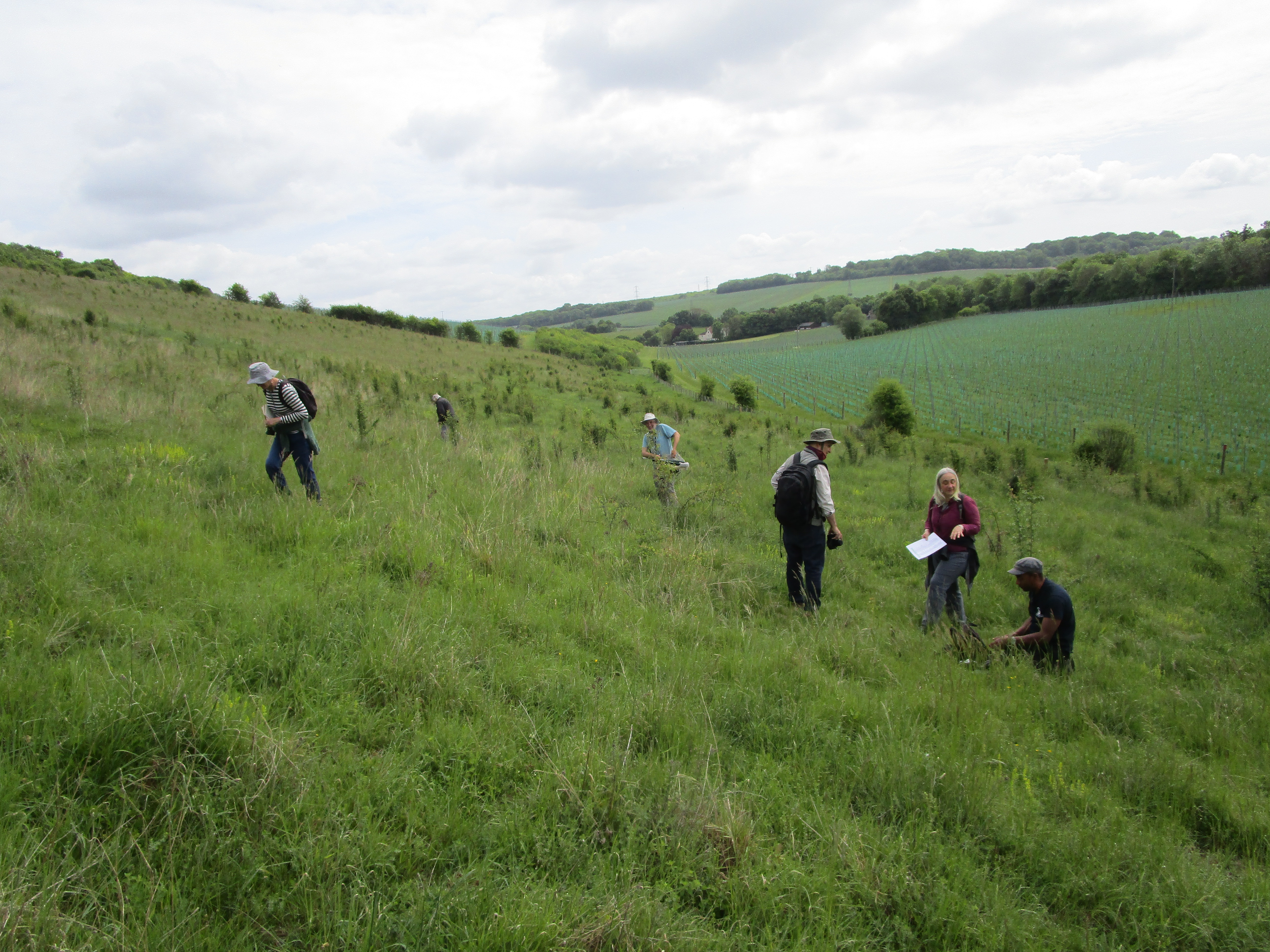 Field meeting at Henley Down, Luddesdown